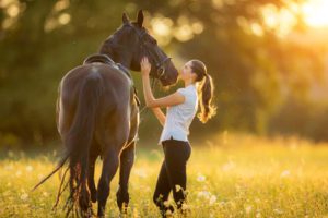 Tierhalter Krankenversicherung OP Schutz für Pferde und Hunde